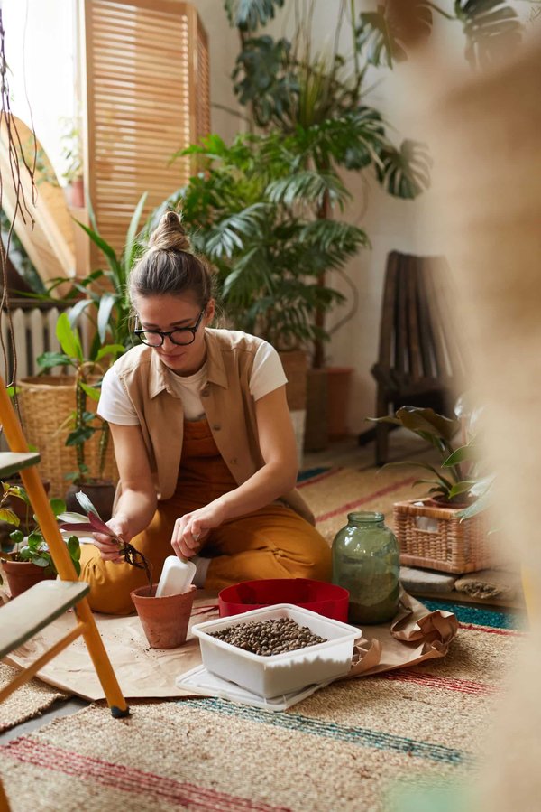 La nature sans limites grâce à la magie des plantes artificielles