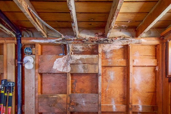 Traitement merule par air chaud : une solution efficace et facile à réaliser