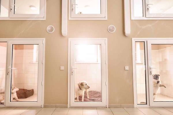 Tableau animaux : Une création qui évoque la magie de la faune pour décorer votre intérieur